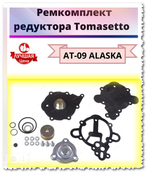 Ремкомплект редуктора Tomasetto Alaska at 09 2023-05-16_115757-1 